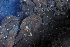 Lanzarote_22