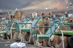 Lanzarote_27