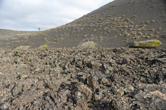 Lanzarote_34