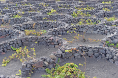 Lanzarote_52