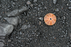 Lanzarote_55