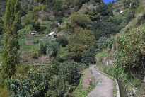 Madeira_11