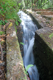 Madeira_38