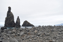 Madeira_45