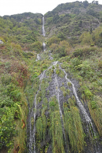 Madeira_49