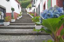 Madeira_52