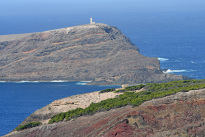 Madeira_71
