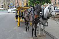 Mallorca_17