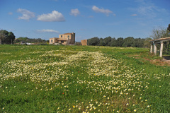 Mallorca_03