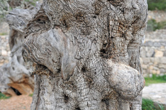 Mallorca_25