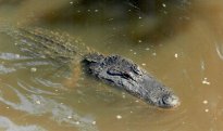 New_Orleans_028