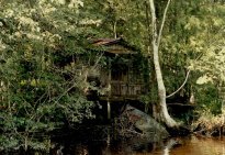 New_Orleans_029