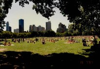 New_York_024