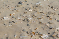 Norderney07