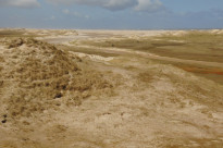 Norderney11