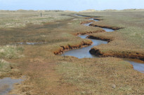 Norderney12
