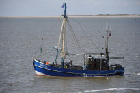 Norderney36