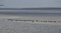 Norderney38