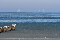 Prerow_06