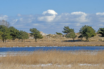 Prerow_26