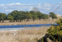 Prerow_29