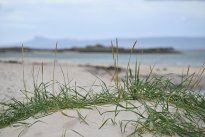 Schottland29