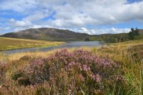 Schottland35