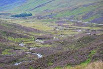 Schottland58