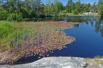 Schweden_18