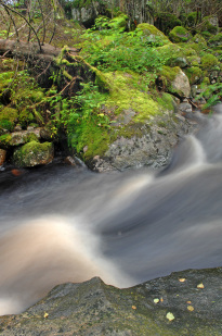 Schweden_62