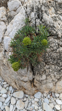 Sizilien_005