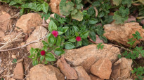 Sizilien_007
