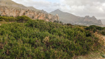 Sizilien_093