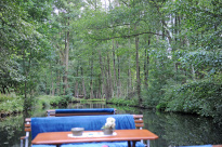 Spreewald_04