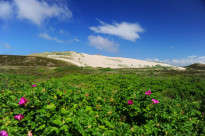 Sylt06