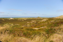 Sylt07