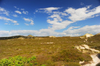 Sylt09