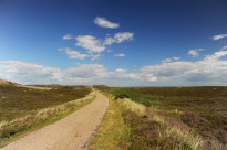 Sylt10