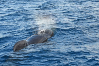 Tarifa_12