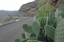 Teneriffa_17