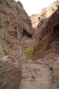 Teneriffa_21