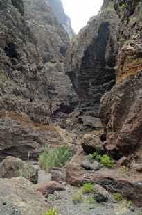 Teneriffa_23