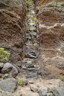 Teneriffa_24