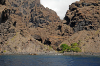 Teneriffa_36