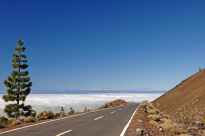 Teneriffa_41