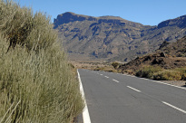 Teneriffa_45