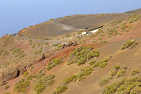 Teneriffa_53