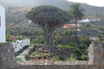 Teneriffa_57