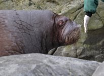 Tiere_190