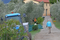 Toskana_02